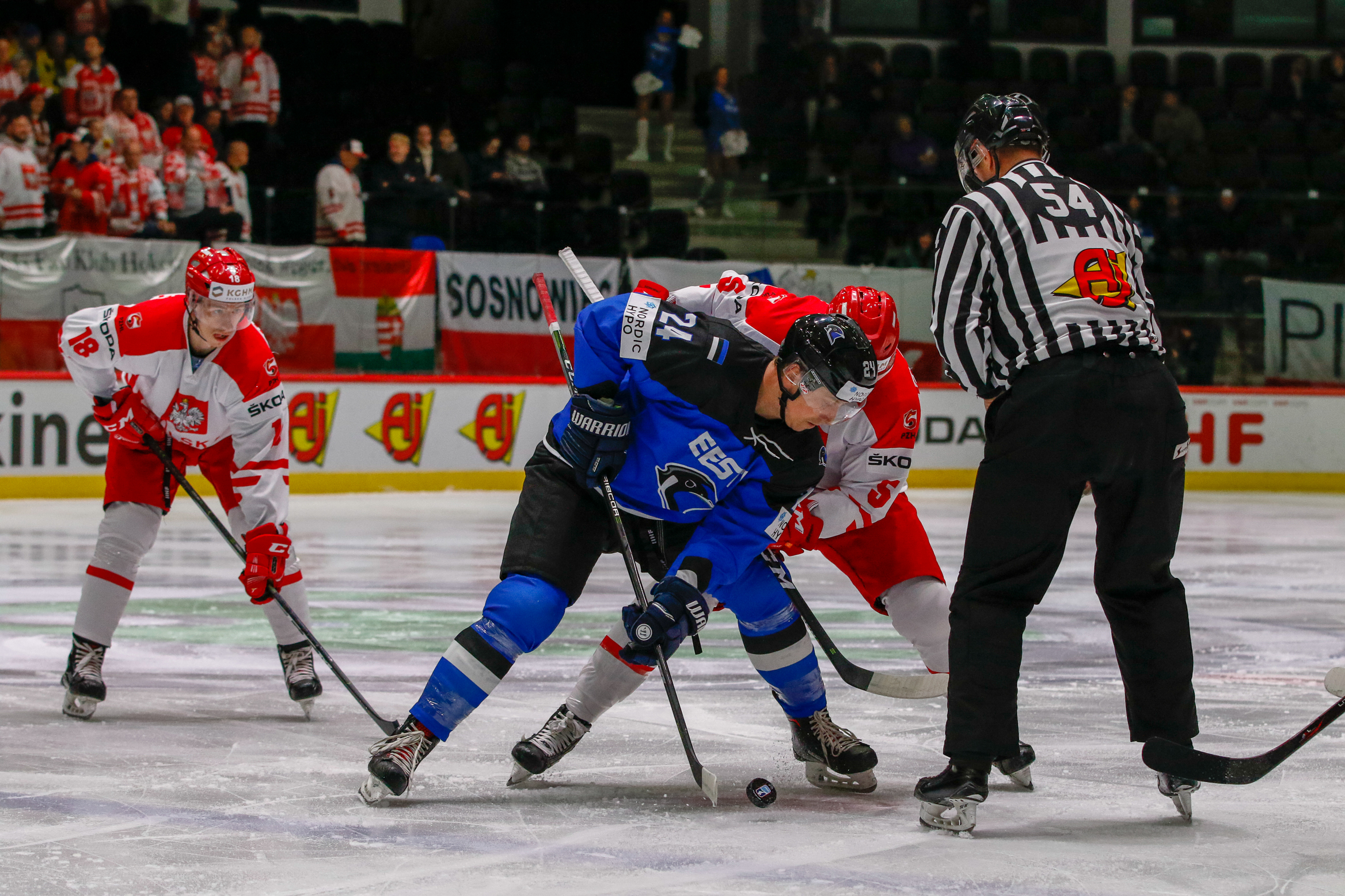 IIHF - Gallery: Estonia vs. Poland - 2019 IIHF Ice Hockey World ...