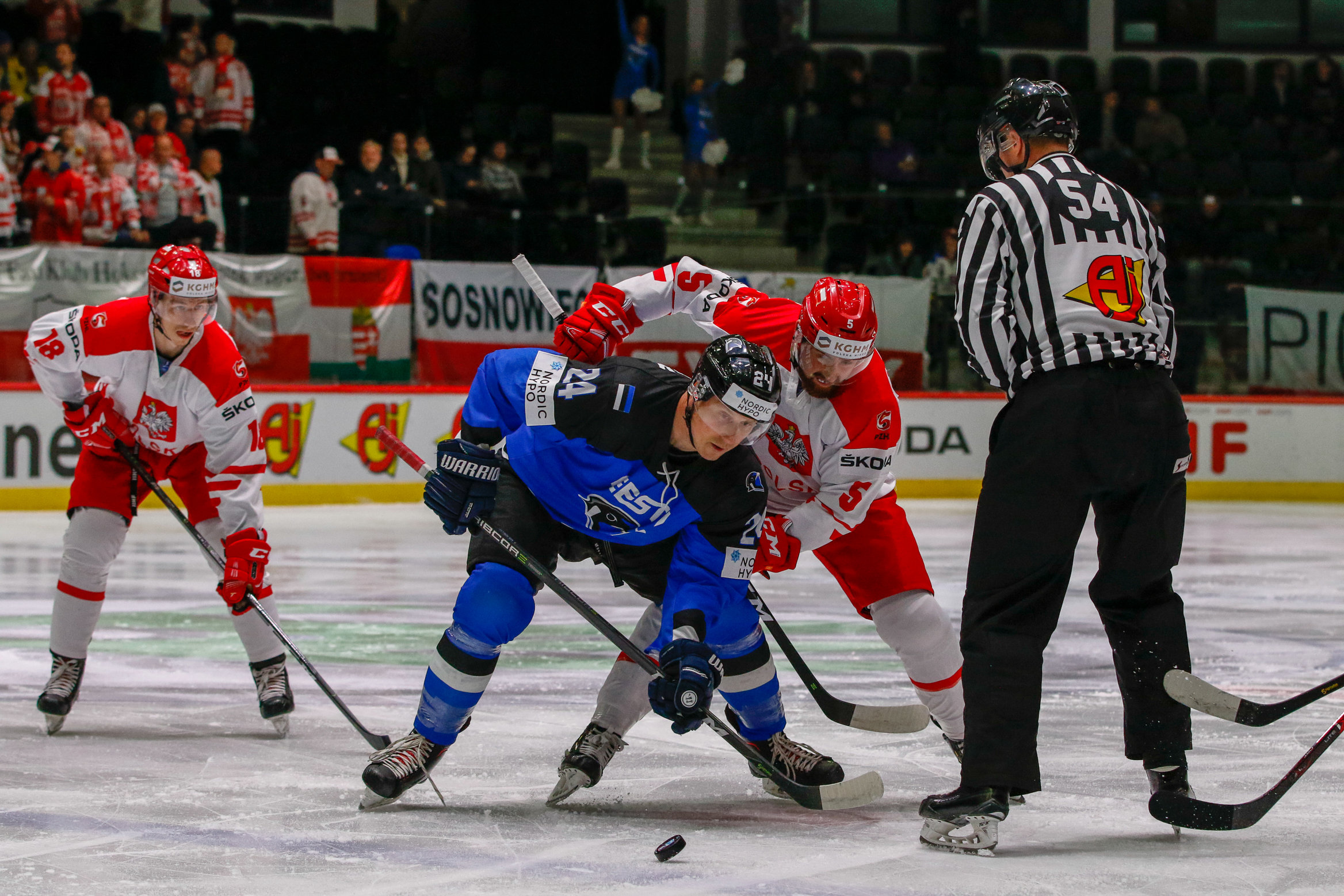 IIHF - Gallery: Estonia vs. Poland - 2019 IIHF Ice Hockey World ...