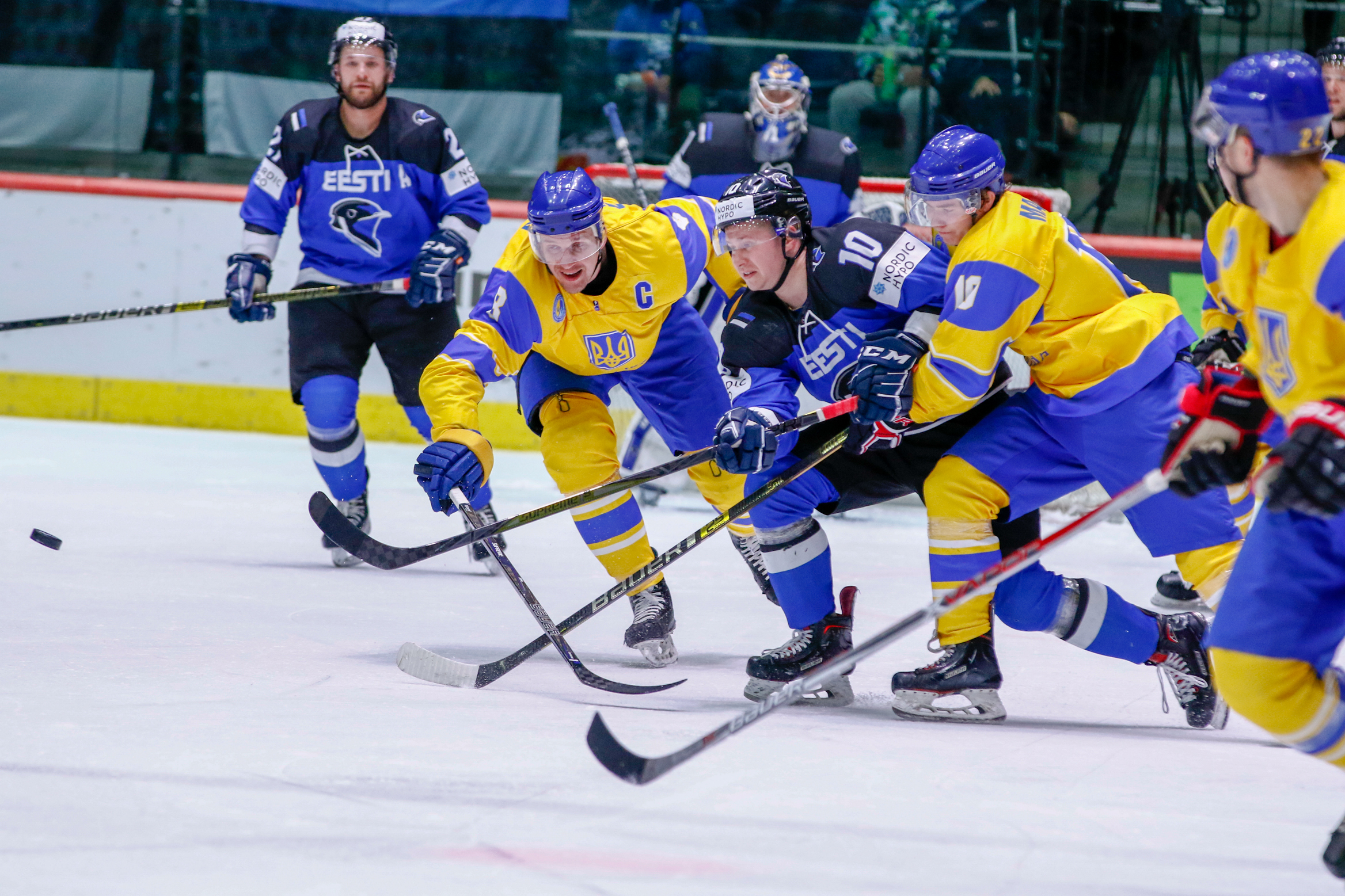 IIHF - Gallery: Estonia vs. Ukraine - 2019 IIHF Ice Hockey World ...