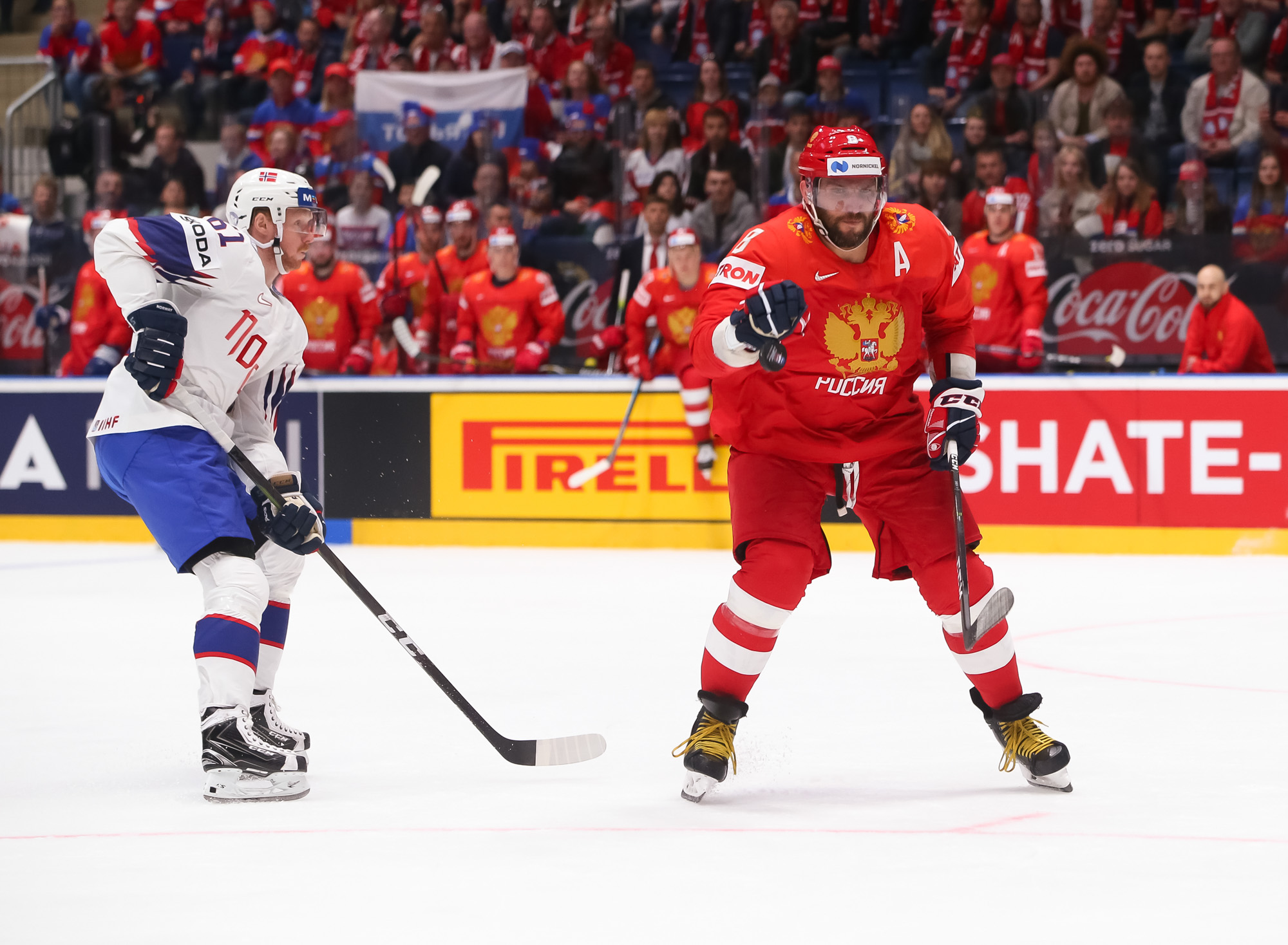 Хоккей чемпионат 2019. Россия хоккей 2019. ЧМ по хоккею 2019. Чемпионат Европы по хоккею 2019.