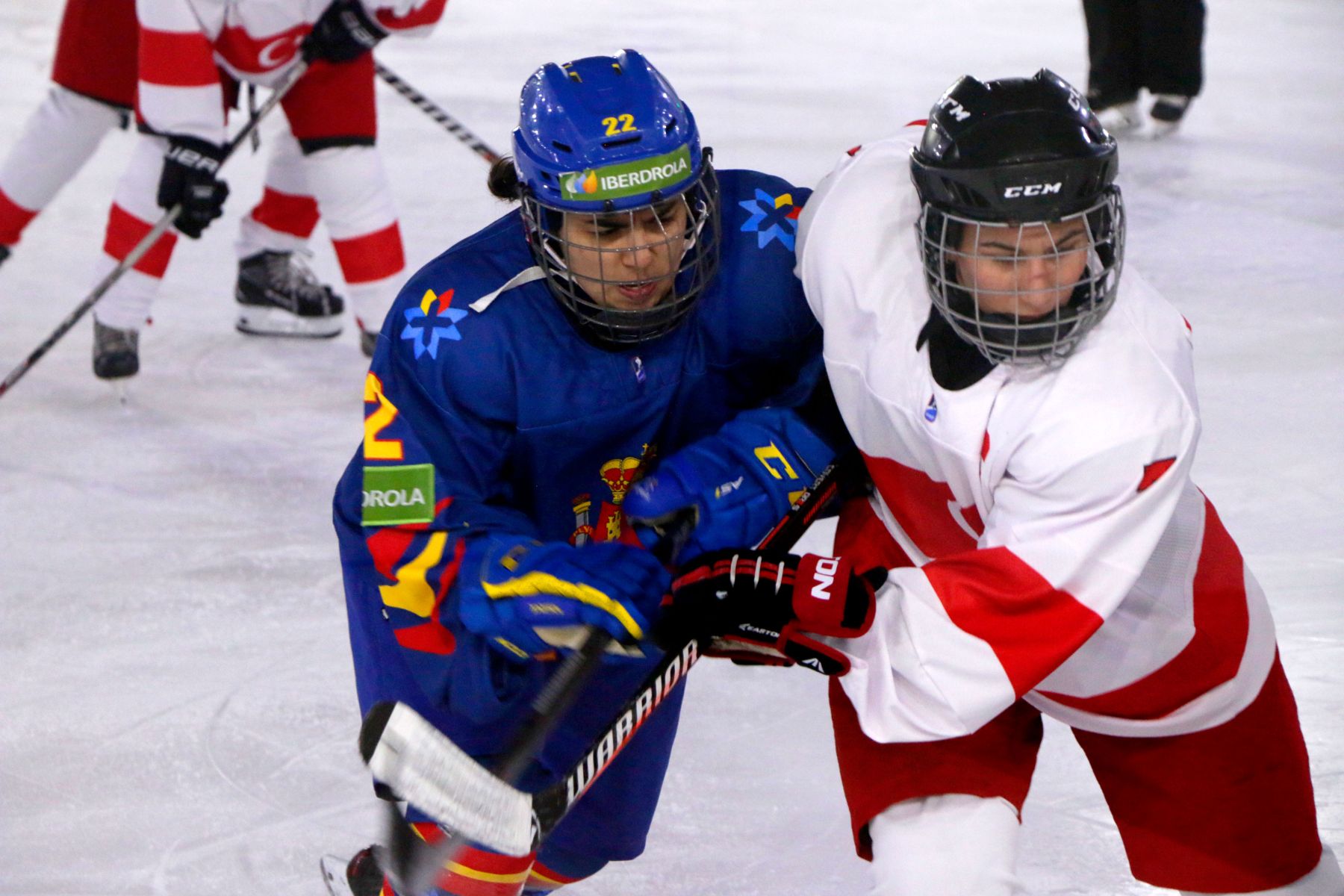 Hockey sobre hielo