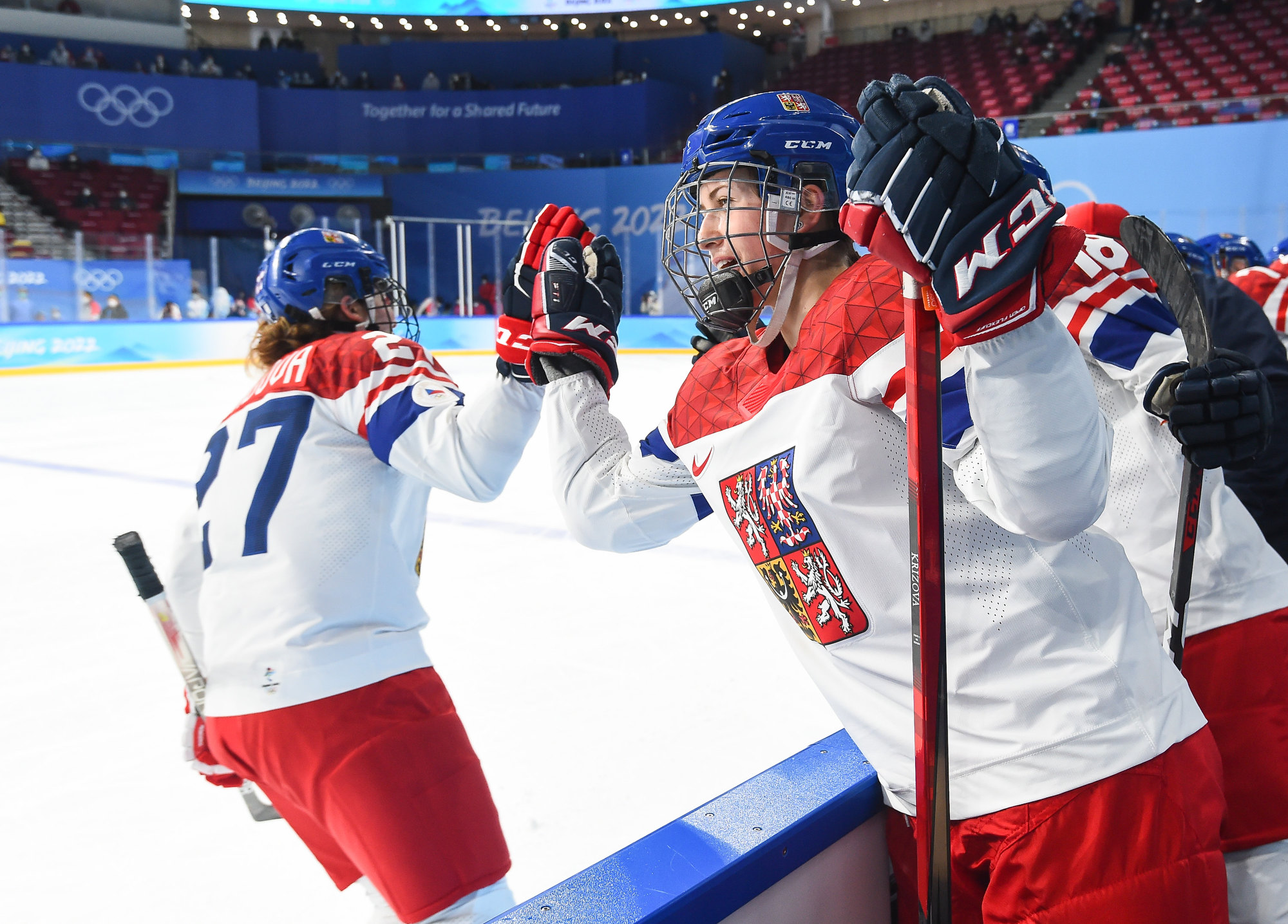 Chomutov, Czech Republic. 13th Nov, 2021. Czech players celebrate a goal  during the 2022 Olympic Women's Ice hockey Final Qualification, Group C,  Poland vs Czech Republic, on November 13, 2021, in Chomutov