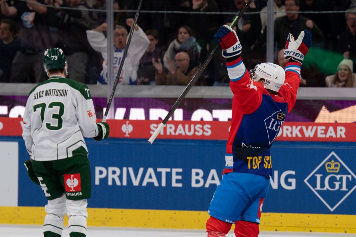 Zsc Ice Rink IIHF - ZSC Lions are Champions again
